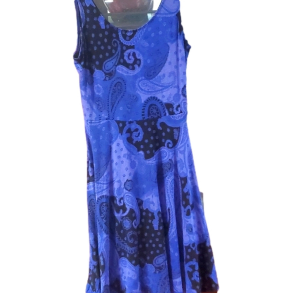 EXPRESS Dress Small Blue Foral Stretch